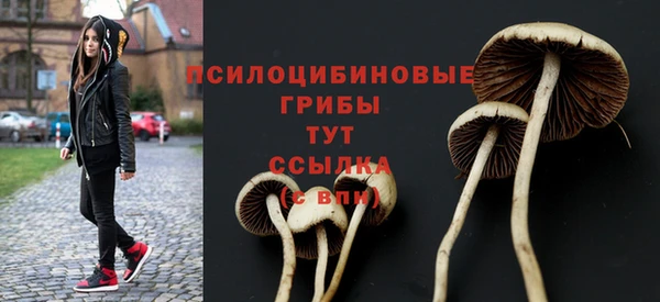 ПСИЛОЦИБИНОВЫЕ ГРИБЫ Пересвет