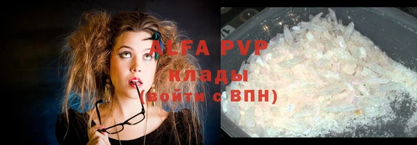 шишки Переславль-Залесский