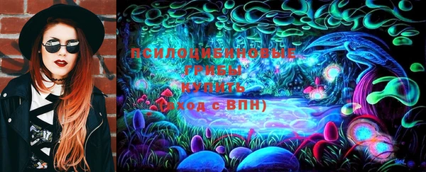 шишки Переславль-Залесский