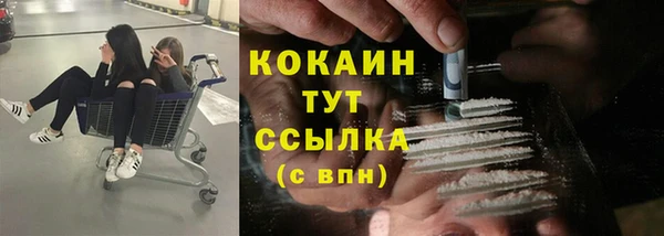 ПСИЛОЦИБИНОВЫЕ ГРИБЫ Пересвет