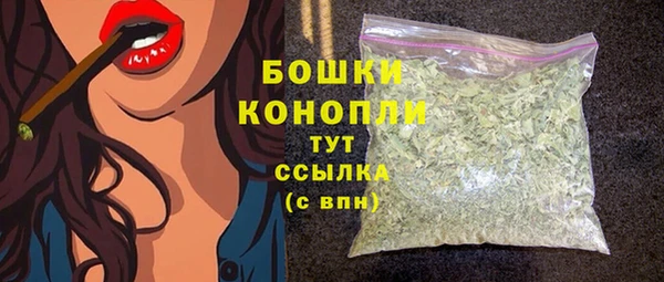 молекула духа Болотное