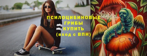 шишки Переславль-Залесский